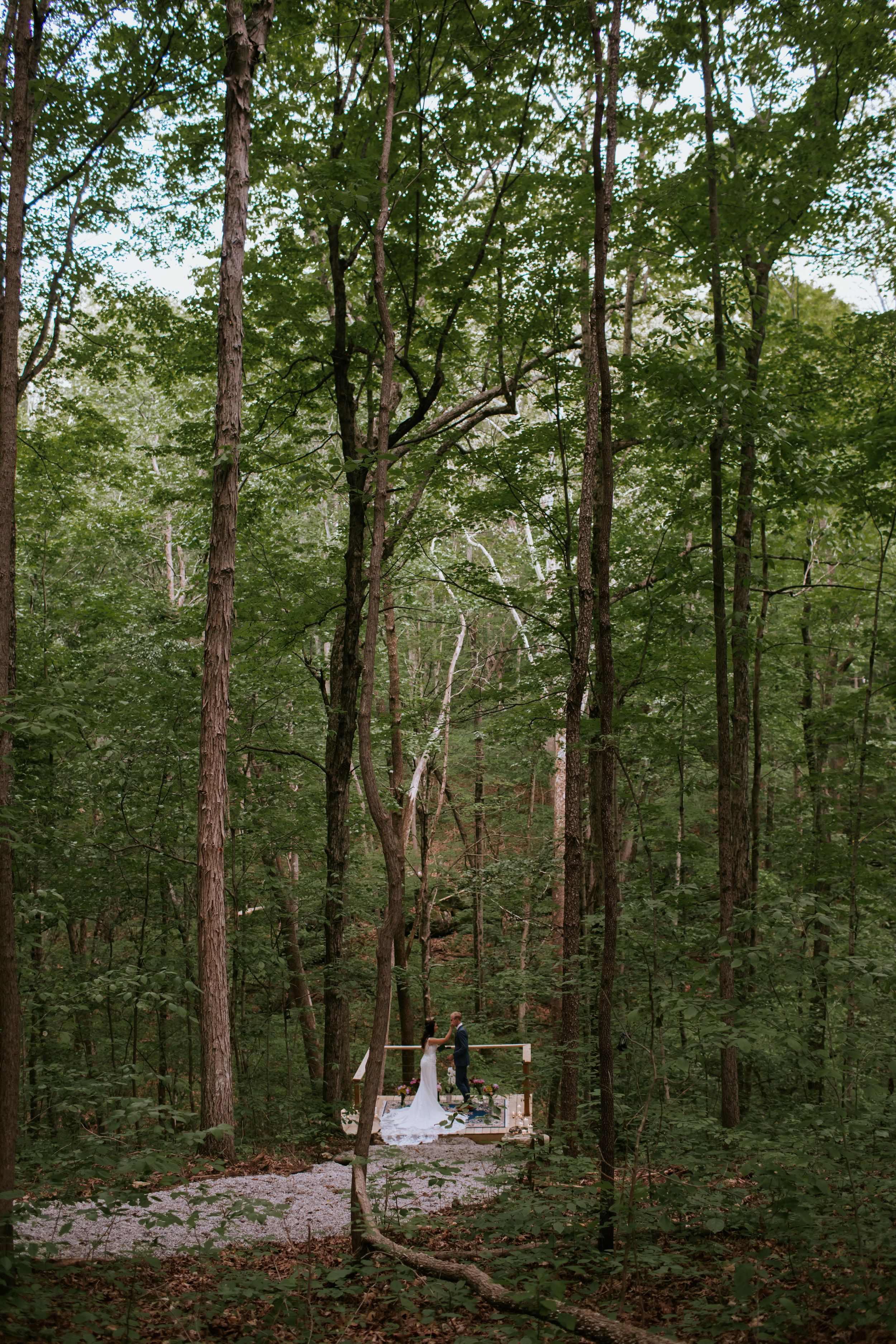 Panoramic view of a forest wedding venue with wooden benches nestled among tall trees.