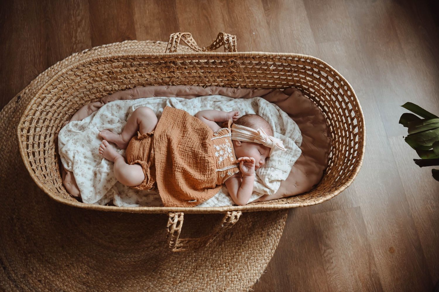 Newborn Photography In Williamsport, Pa/Central Pa
