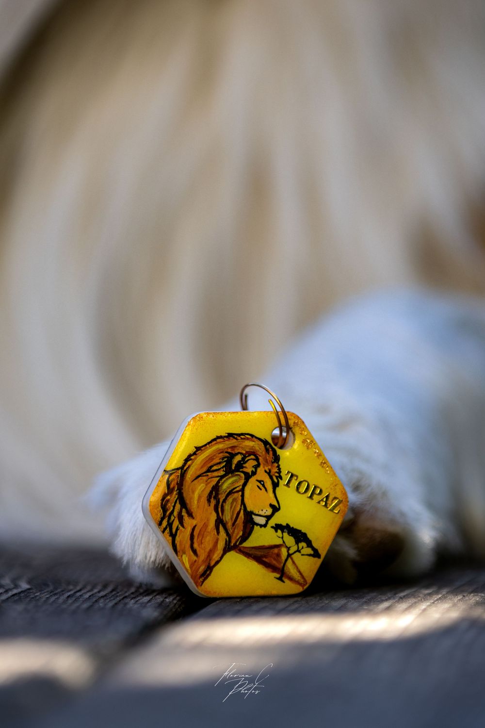 Médaille chien / accessoire canin / fait main / cabosha38 / Isère / alsace / chien / berger australien / lion / savane