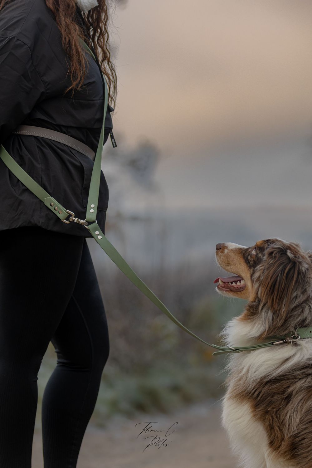 Chien / berger australien / laisse chien / accessoire canin / Cabosha38 / Isère / Alsace