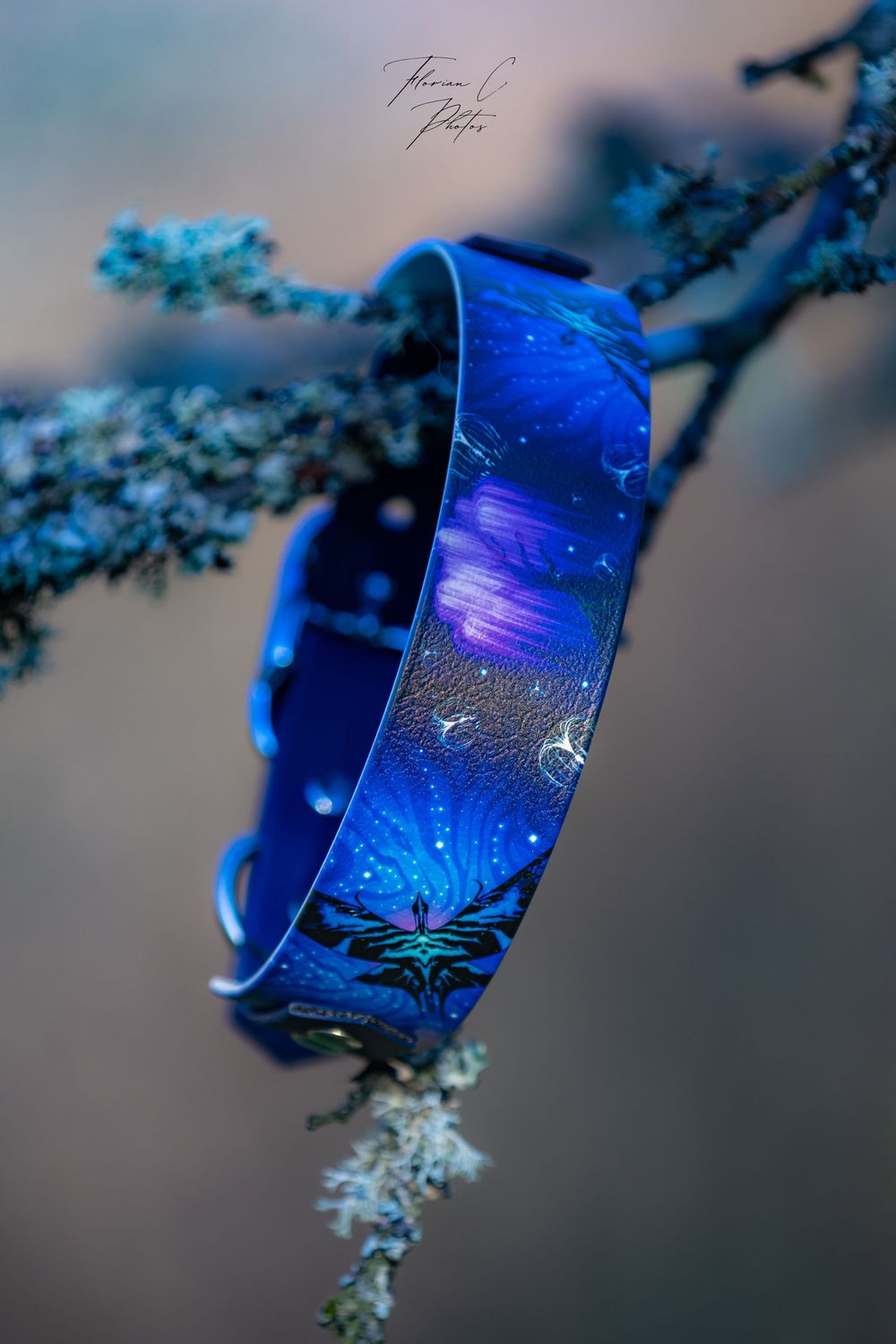 Collier chien / accessoire canin / bleu / science fiction / photo / Cabosha38