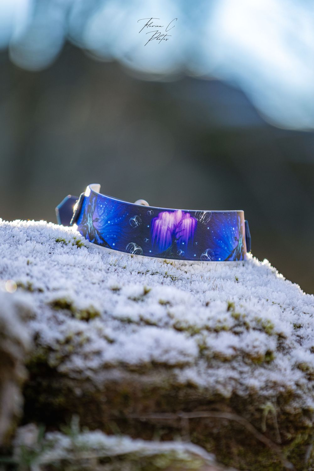 Collier chien / accessoire canin / bleu / science fiction / photo / Cabosha38