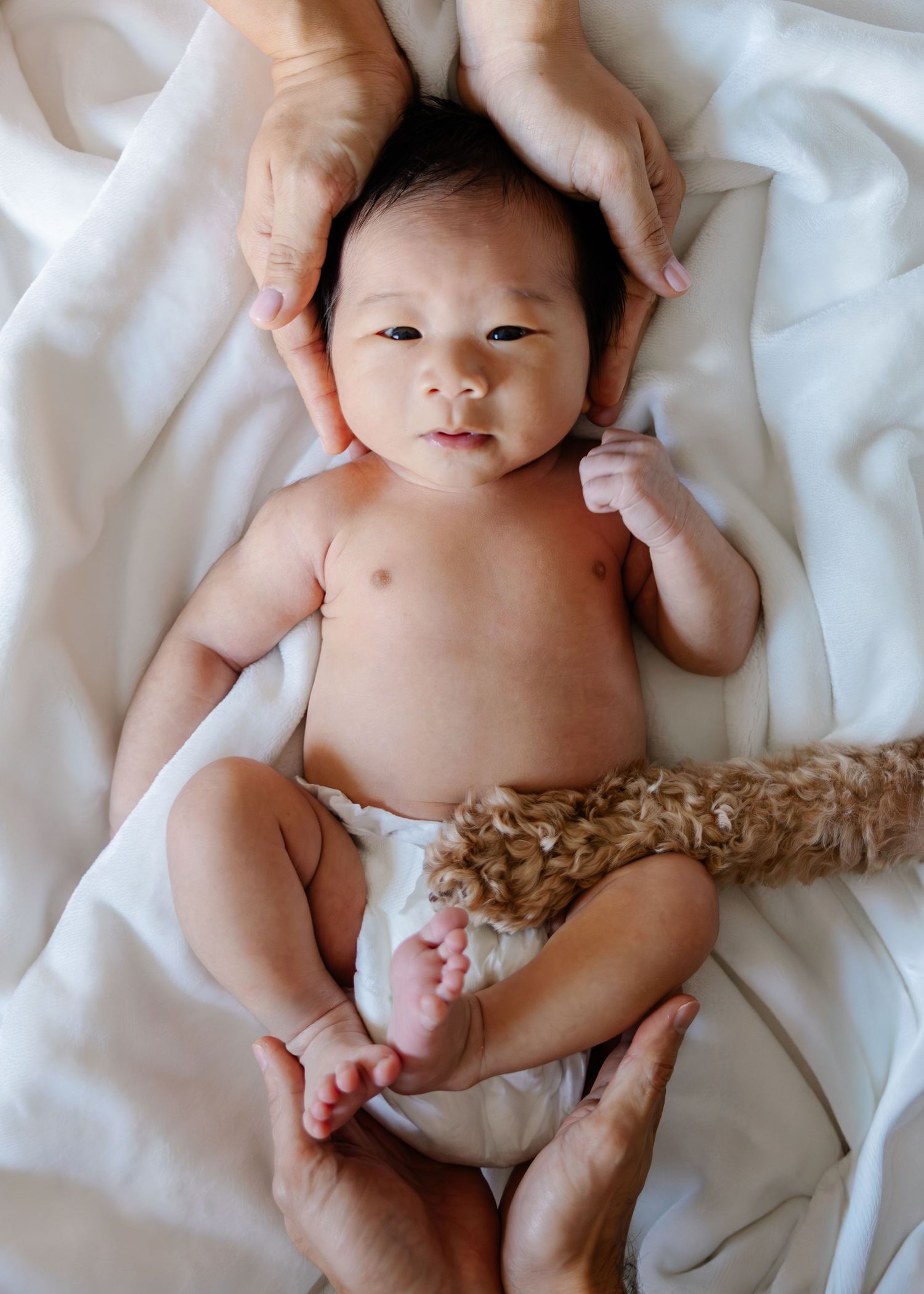 A baby lies on white bedding while adult hands gently massage their body in a series of nurturing poses.