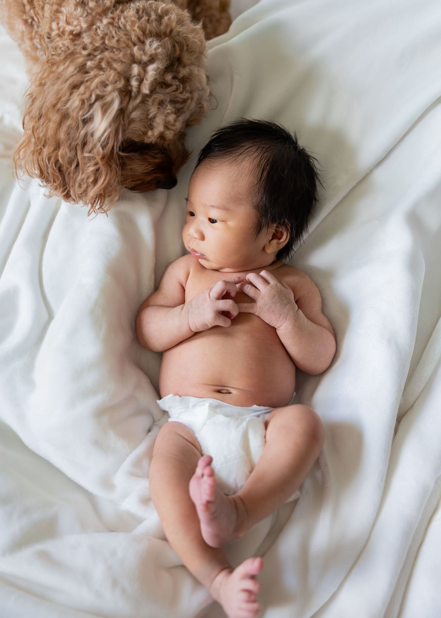 Baby resting on white sheets with a fluffy brown teddy bear companion.
