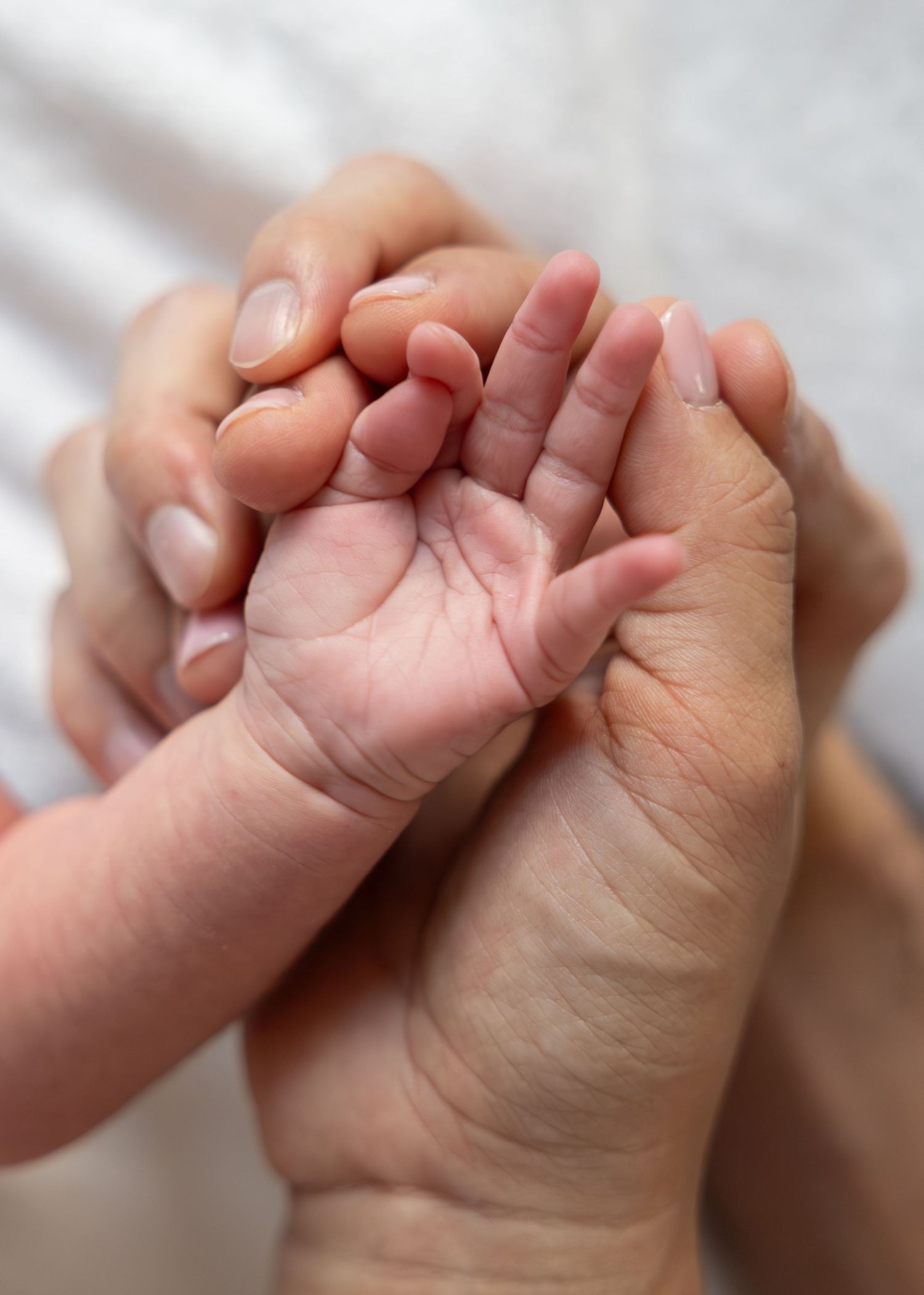 Close-up series of tiny baby feet with adult hands gently holding them against white background.