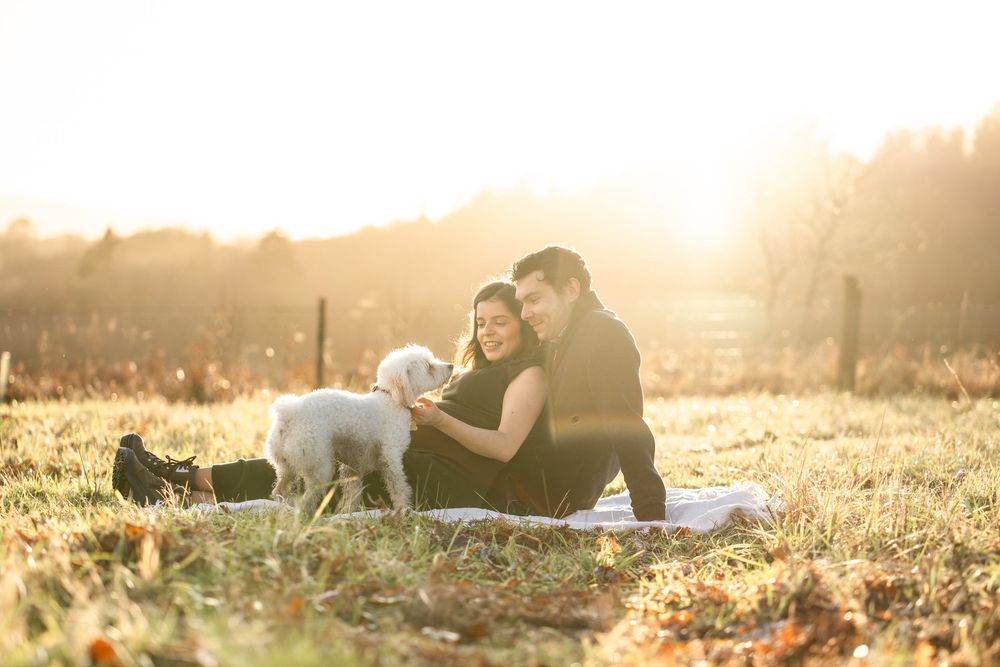 A couple relaxes together on a blanket in a sunlit meadow during golden hour.