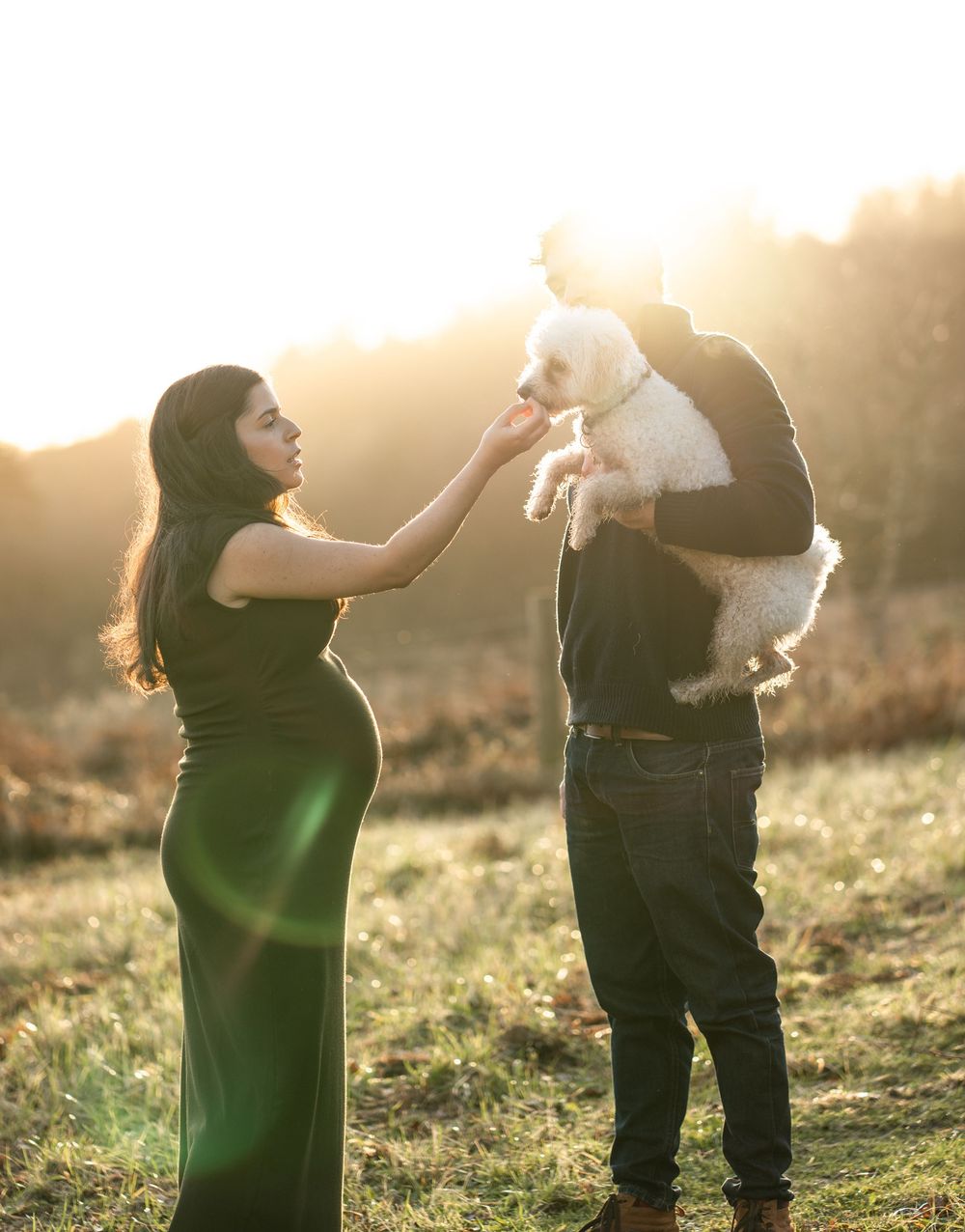 A couple poses with their small white dog during a golden hour maternity photoshoot in a sunlit field.