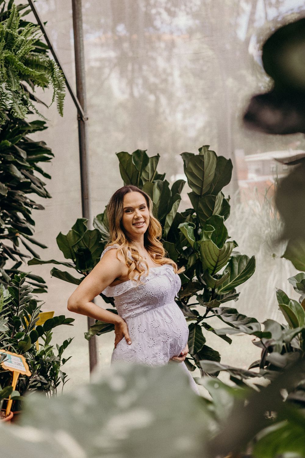 A woman in a white lace dress poses among lush green fiddle leaf fig plants in a greenhouse setting.