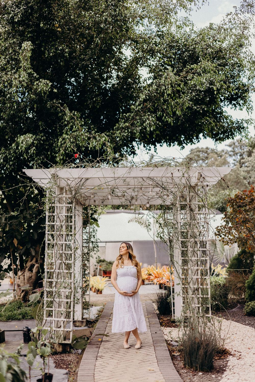 A white garden arbor with climbing plants creates a romantic pathway in a sunny outdoor setting.