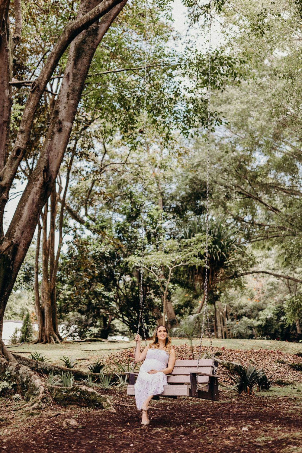 A peaceful woodland scene with a swing hanging from a tree branch in a natural outdoor setting.