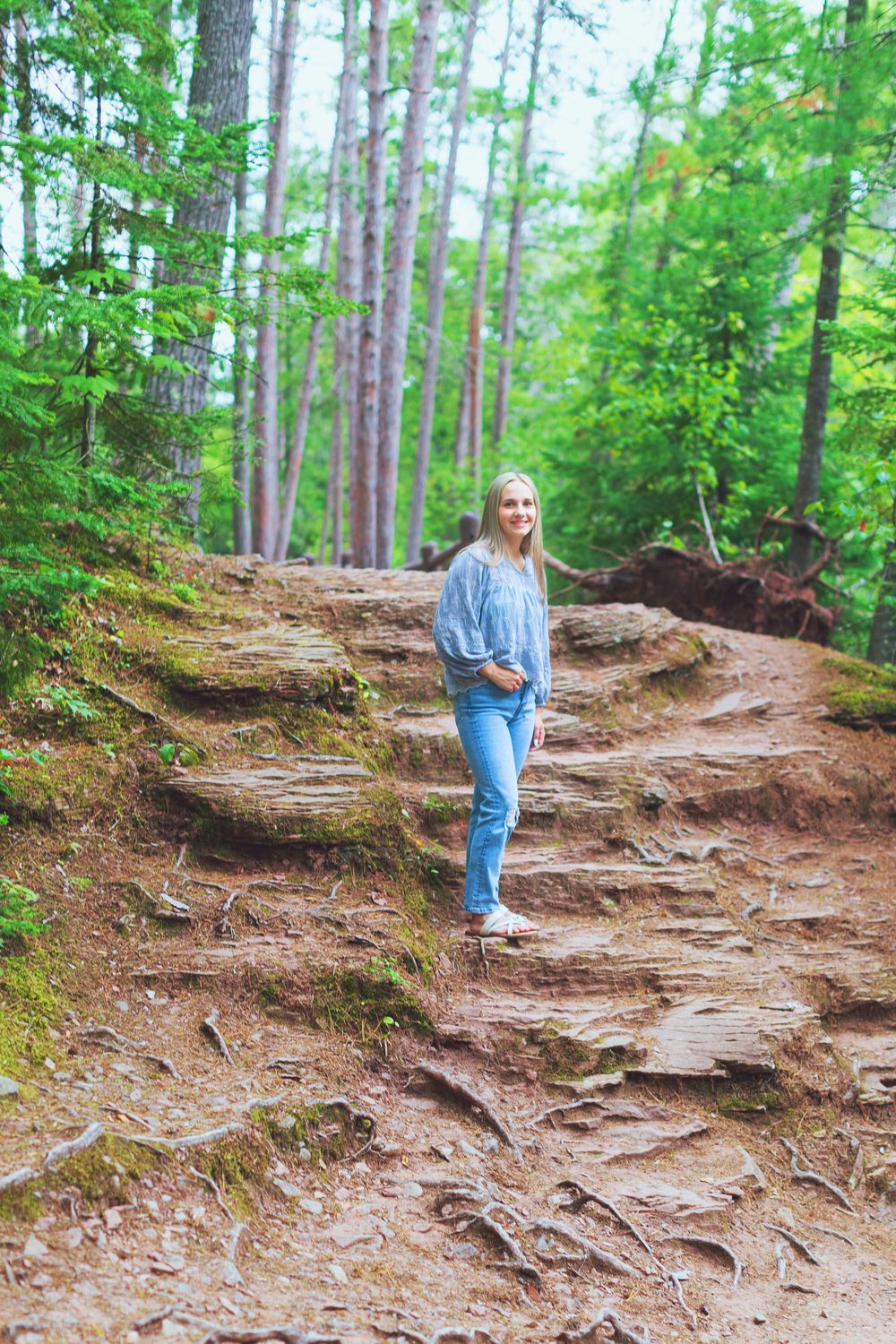 Figure walks along a forest trail with exposed tree roots and pine trees in the background.
