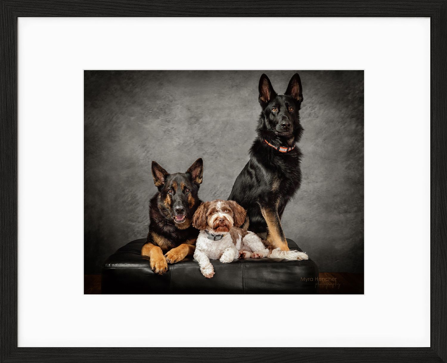 Modern living room interior with brown leather sofa, wooden furniture and framed dog portrait on wall.