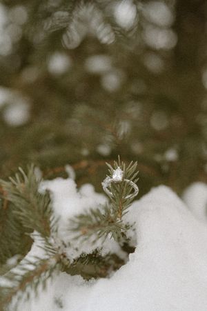 Minnesota Wedding Photographer, Romantic and Authentic Minnesota Photography, Minnesota Winter Couple Photos | Rachel Marie Photography