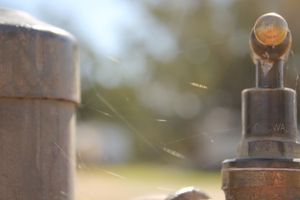 Tap in nature and the farm