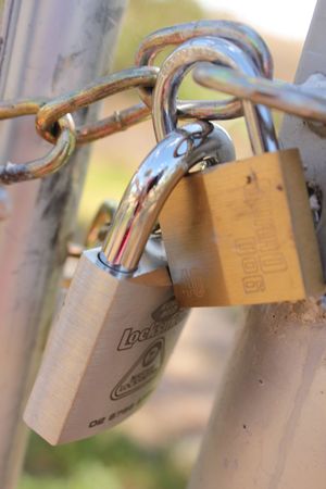 Padlocks in nature