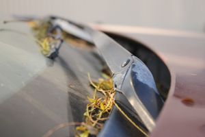 Car creative photo