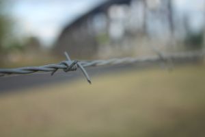 Manilla NSW showground beauty in the country simple barb wire creative