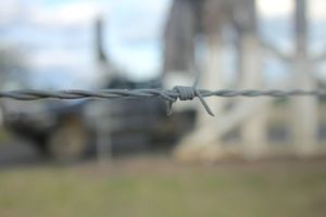 Manilla NSW showground beauty in the country simple barb wire creative