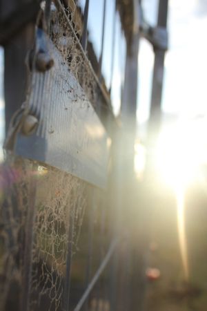 Manilla NSW showground historic bridge sunset