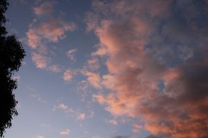 Manilla NSW showground sunset