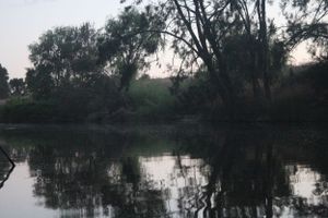 Manilla NSW showground beauty in the country river