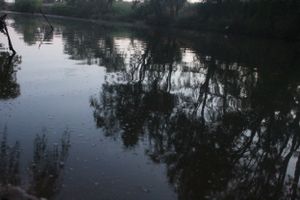 Manilla NSW showground beauty in the country river