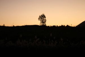 Manilla NSW sunset on the farm