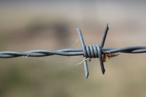 Manilla NSW showground beauty in the country simple barb wire creative