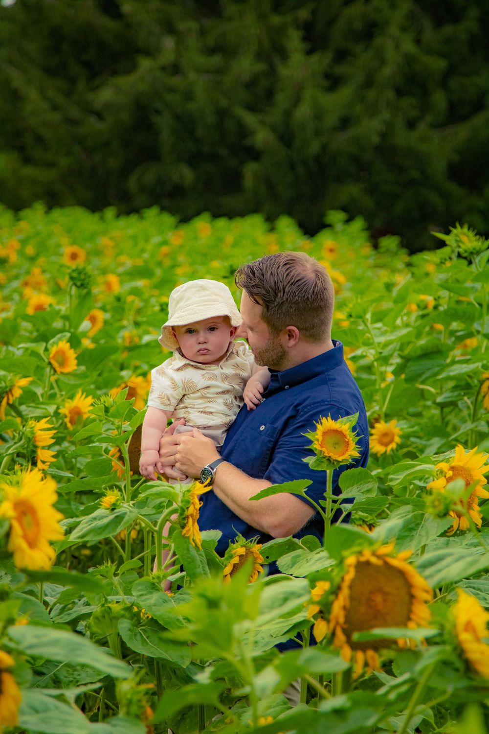 A couple shares tender moments in a vibrant sunflower field during a sunlit outdoor photo session.