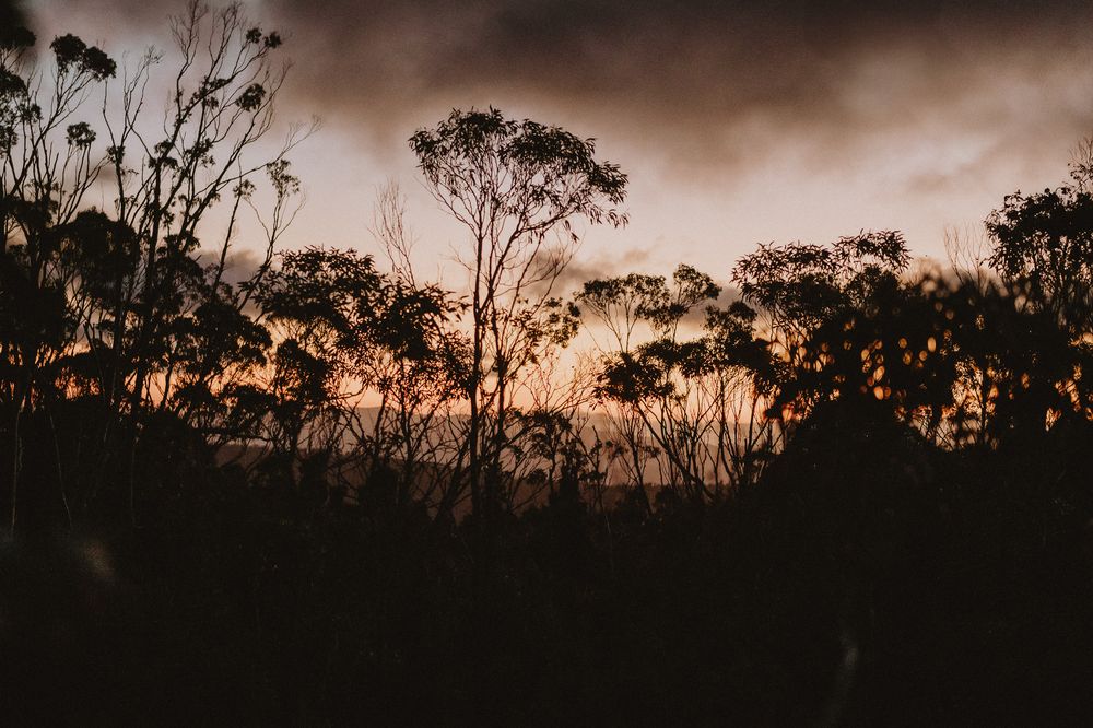 A beautiful sunrise elopement at Lake Osborne in Hartz Mountain National Park, Tasmania. Taken by Joss Jensen Photography