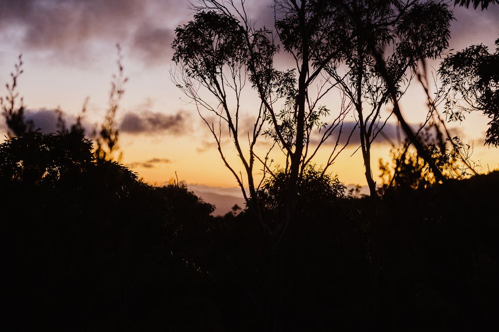 A beautiful sunrise elopement at Lake Osborne in Hartz Mountain National Park, Tasmania. Taken by Joss Jensen Photography