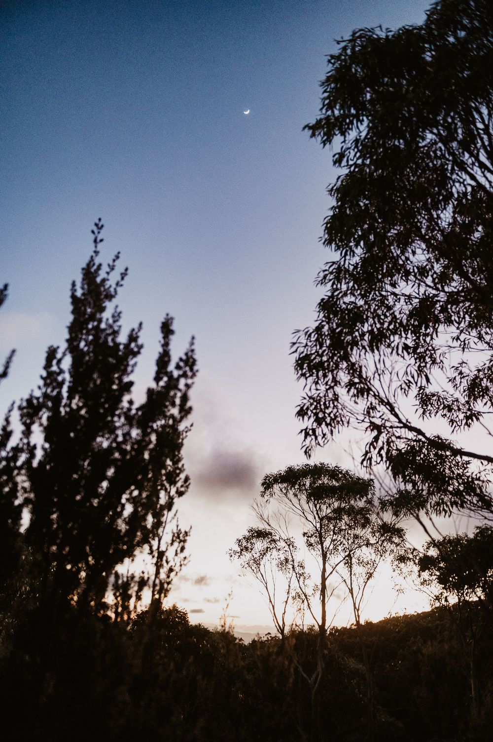 A beautiful sunrise elopement at Lake Osborne in Hartz Mountain National Park, Tasmania. Taken by Joss Jensen Photography