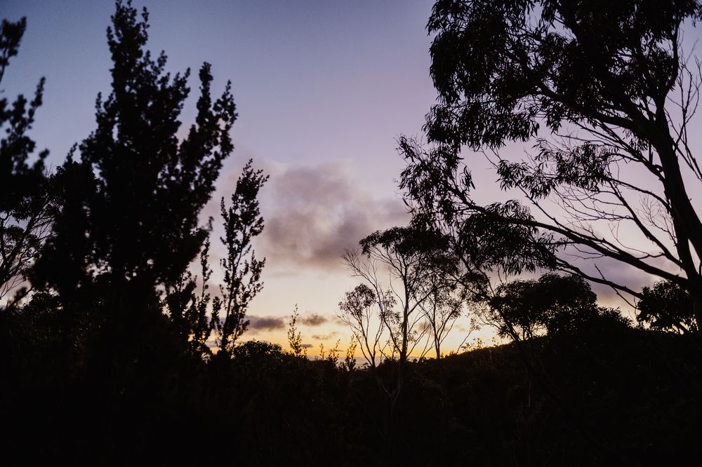 A beautiful sunrise elopement at Lake Osborne in Hartz Mountain National Park, Tasmania. Taken by Joss Jensen Photography