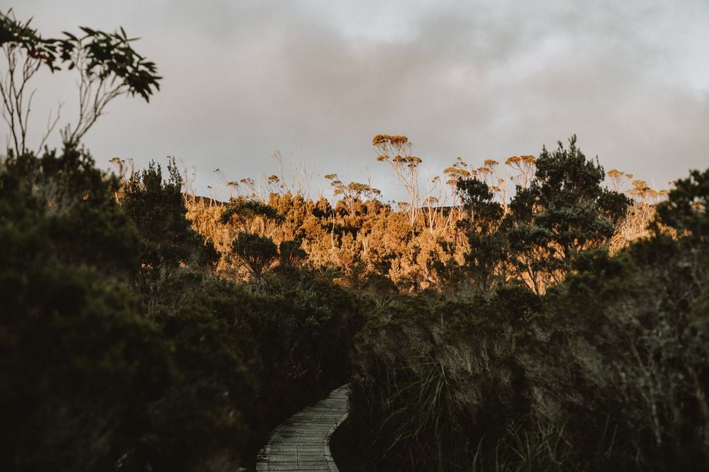 A beautiful sunrise elopement at Lake Osborne in Hartz Mountain National Park, Tasmania. Taken by world renowned photographer Joss Jensen