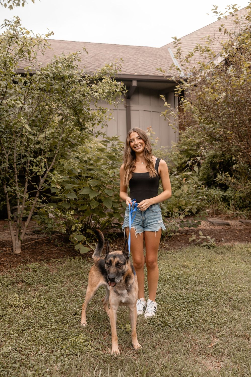 A German Shepherd dog stands in a backyard with trees while being photographed next to someone in denim shorts.