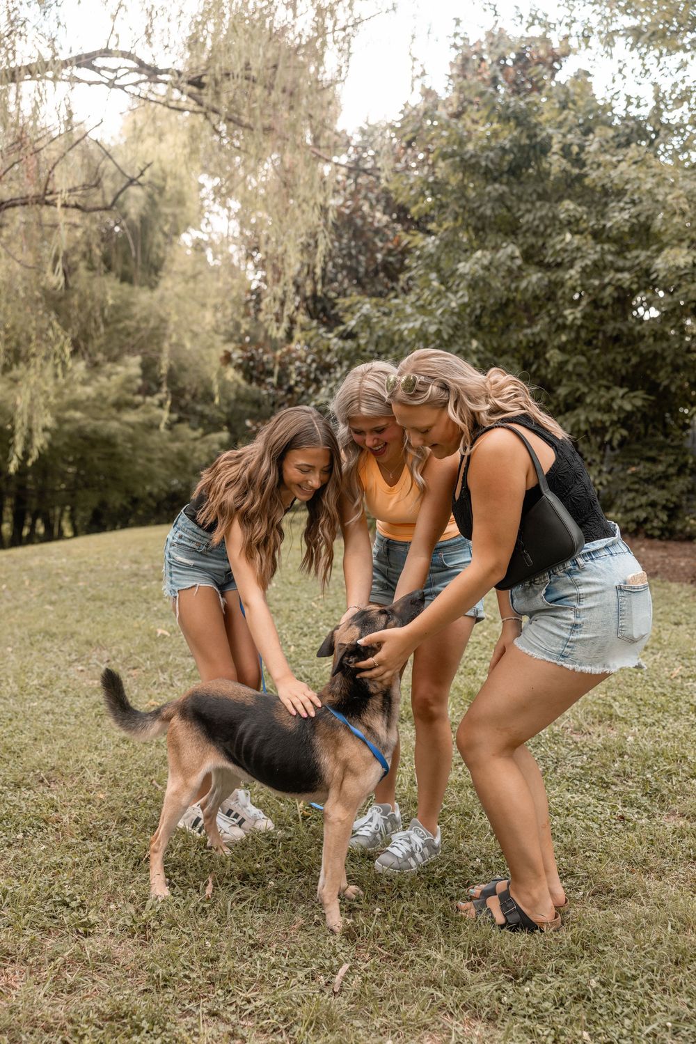 Group of friends laughing while doing cartwheels together on a grassy hillside.