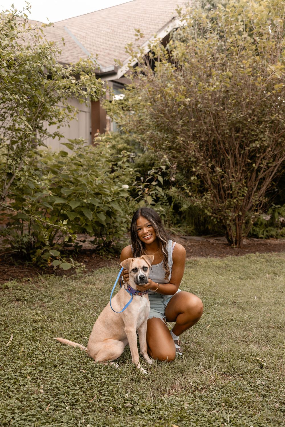 A brown mixed breed dog sits in a grassy backyard next to someone while trees and shrubs line the background.