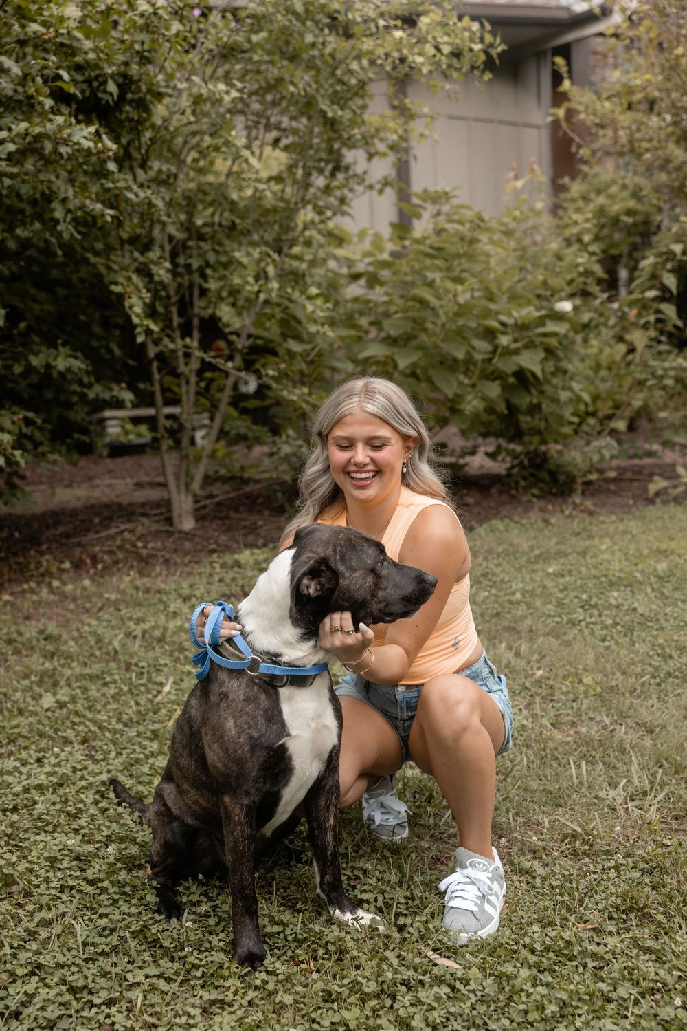 A large black and white dog sits on grass with its owner on a summer day in a backyard setting.
