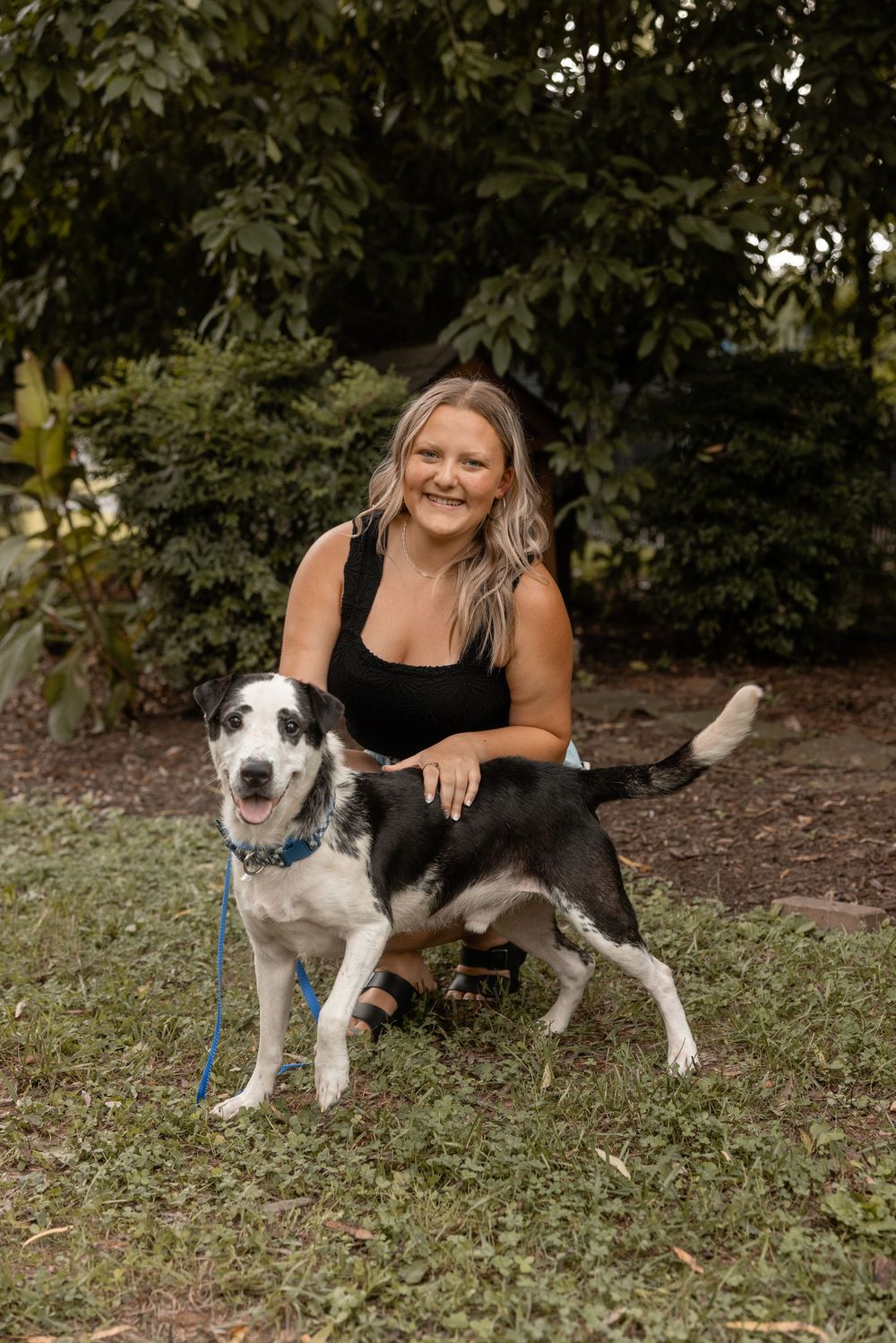 A black and white spotted dog poses outdoors on grass with someone kneeling beside them.