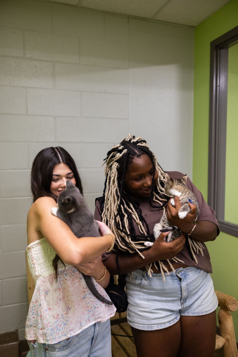 A sequence of candid moments showing two people interacting playfully together in a room with green walls.