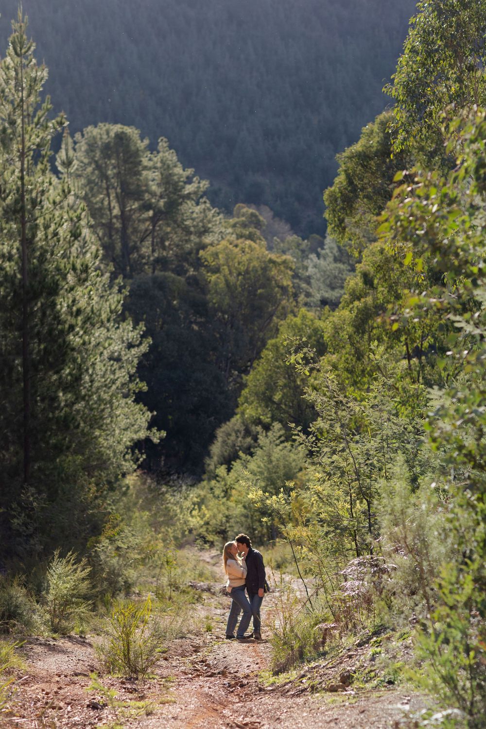 Couple embracing on a scenic forest trail surrounded by lush green trees and mountain landscape in natural sunlight.