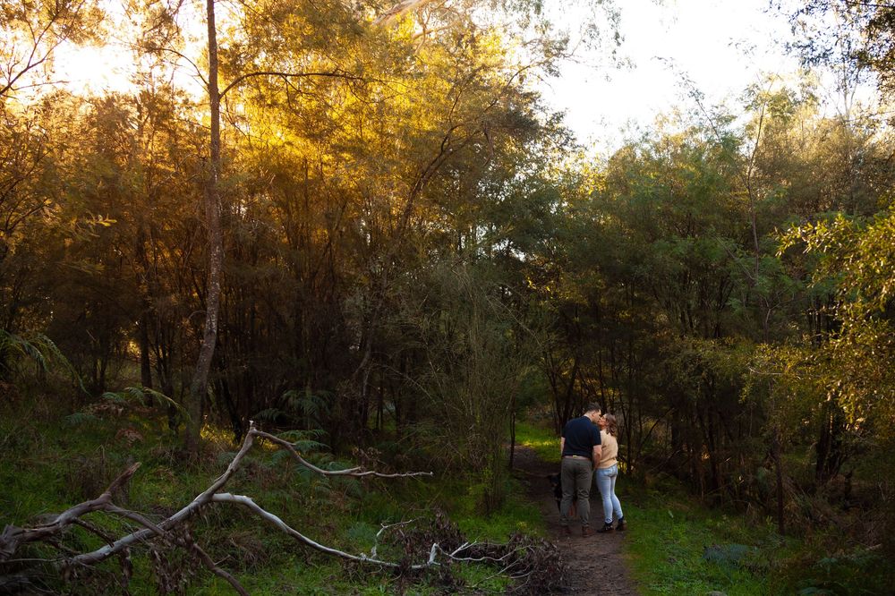 Couple embracing on a forest path surrounded by tall trees with golden sunlight filtering through the canopy.