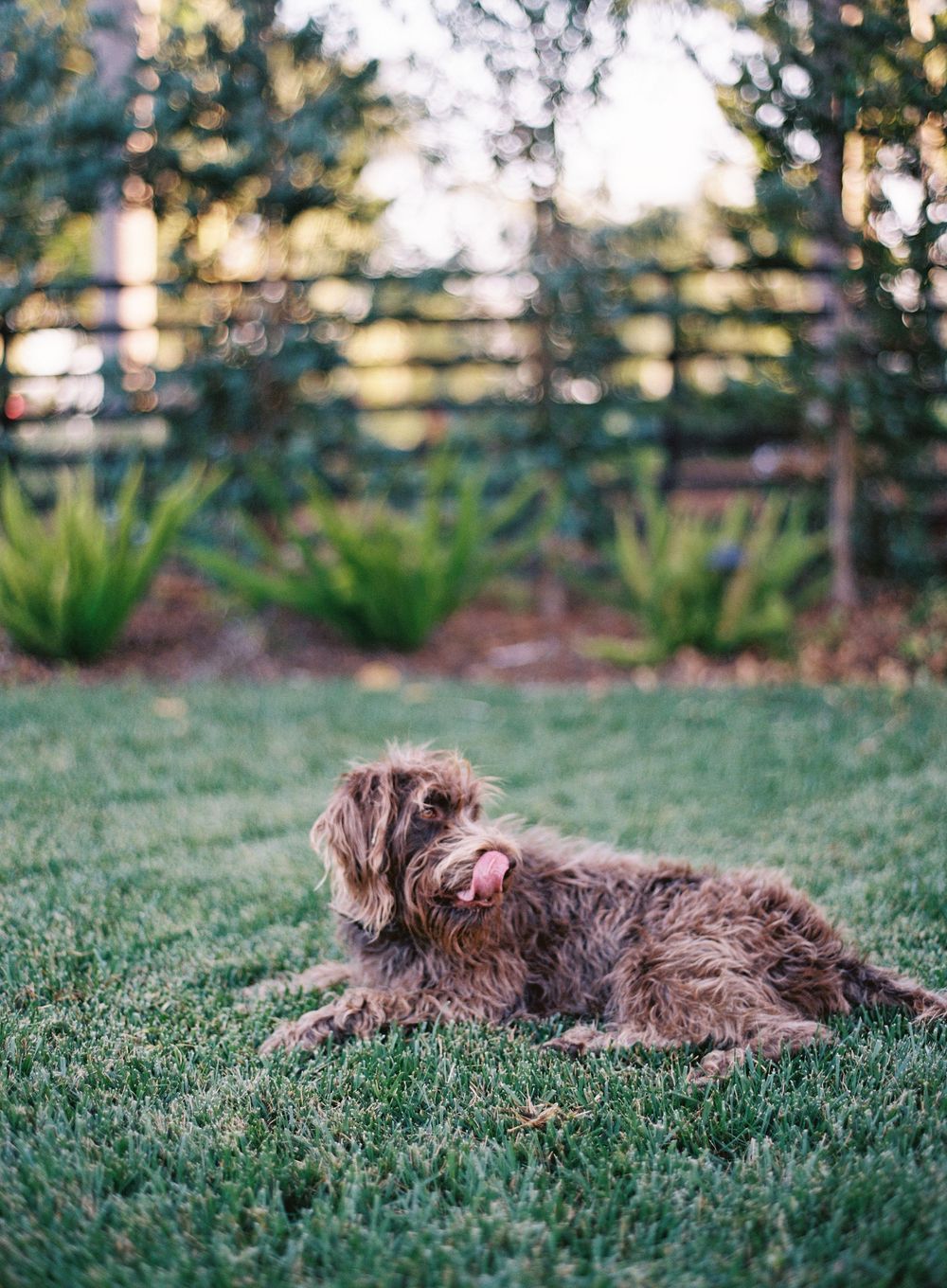 At home family session in Encinitas California