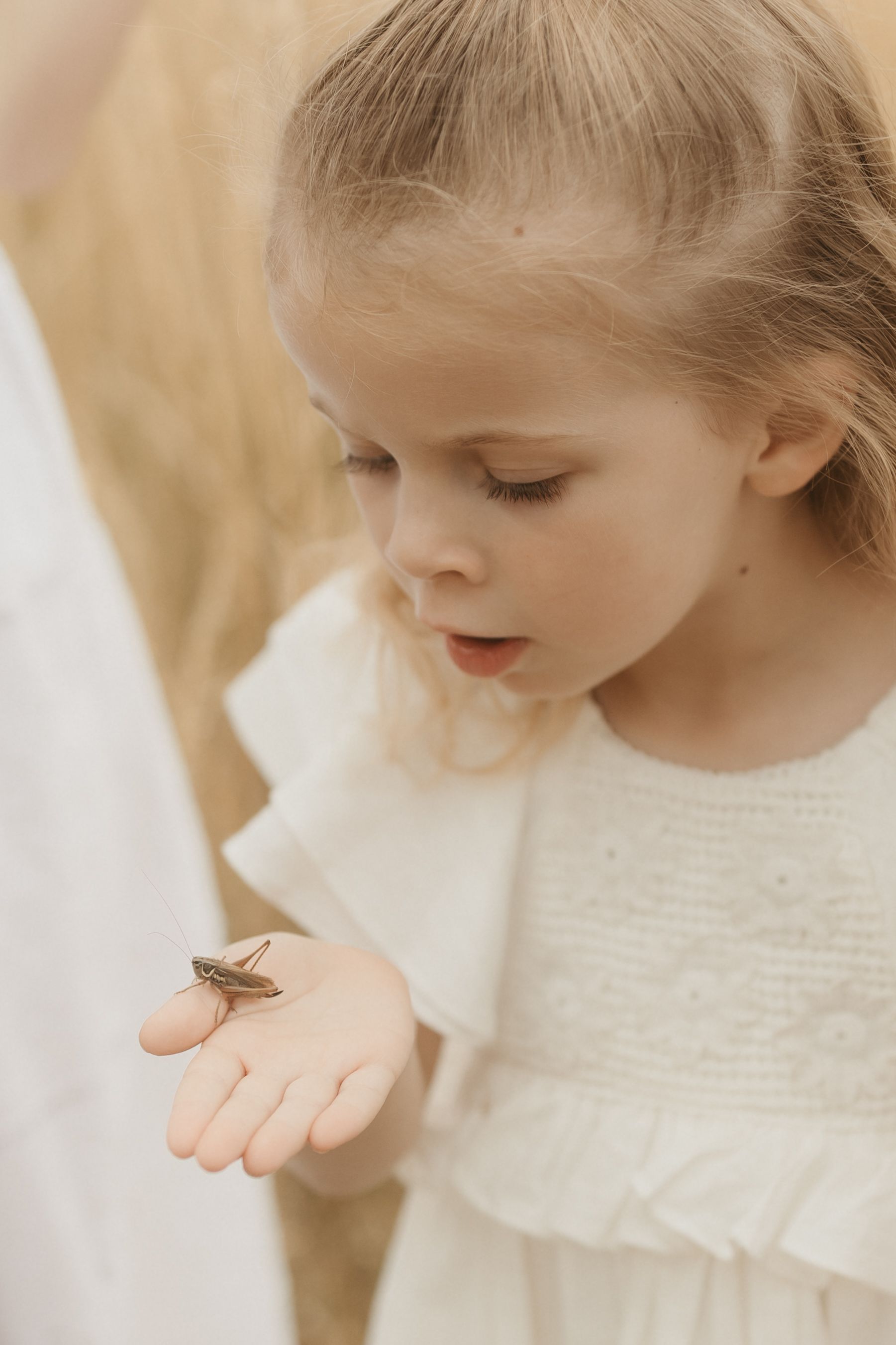A small hand gently holds a delicate butterfly in a dreamy outdoor setting.