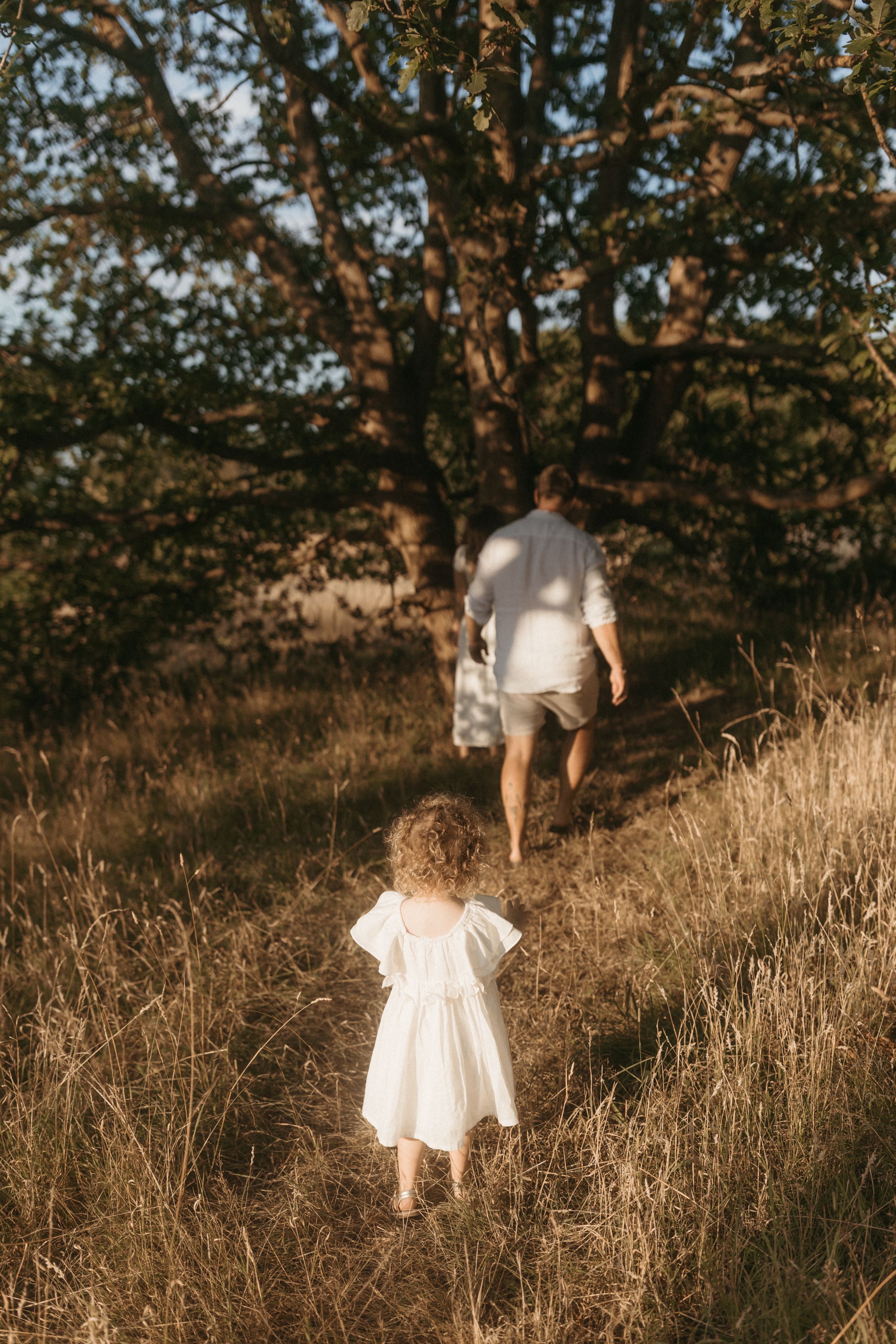 A person in a white dress creates a dreamy silhouette while walking through golden sunlit grass at dusk.