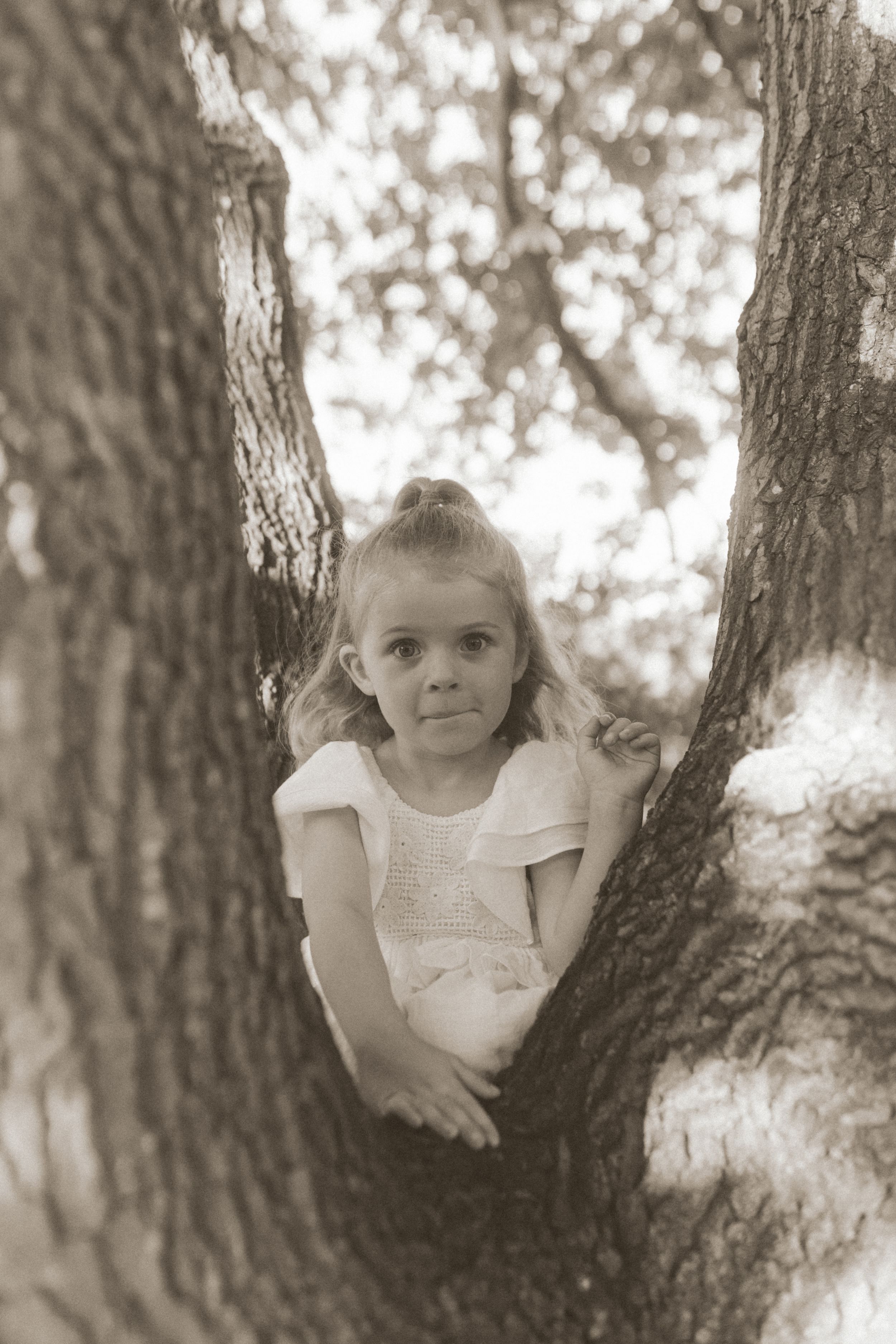 Vintage-style sepia photograph of a young child perched in the notch of a large tree trunk.