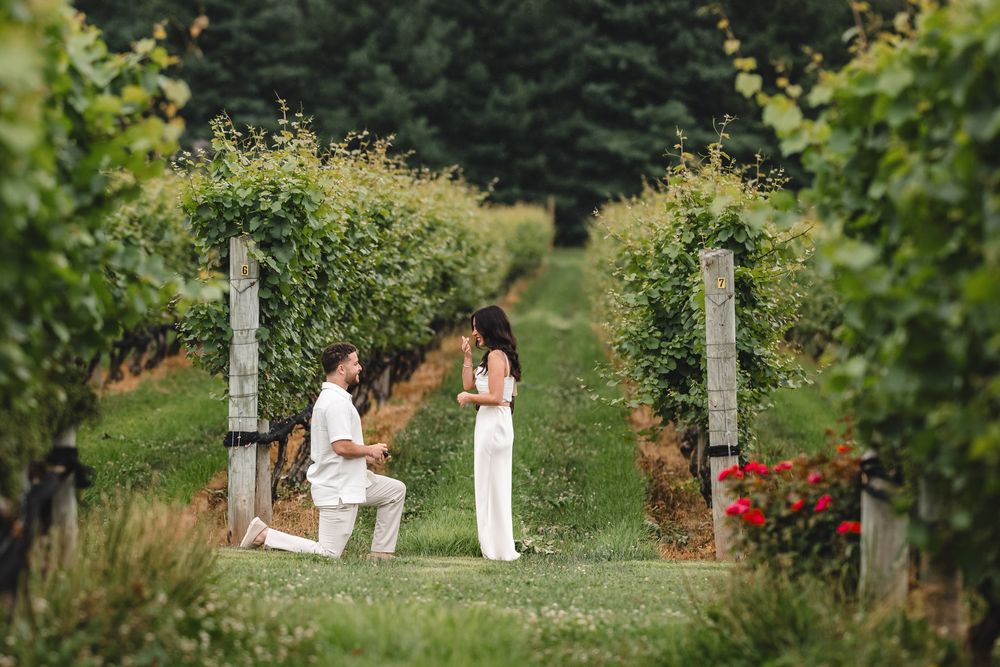 A proposal moment captured in a beautiful vineyard setting with lush greenery.