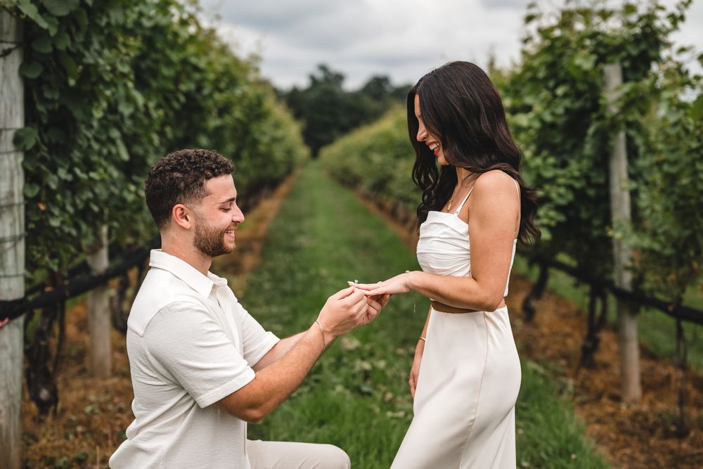 A surprise proposal scene unfolds in a scenic vineyard setting.