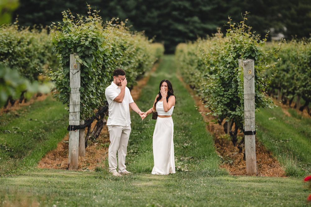 A couple sharing an emotional moment while standing between rows of grapevines.