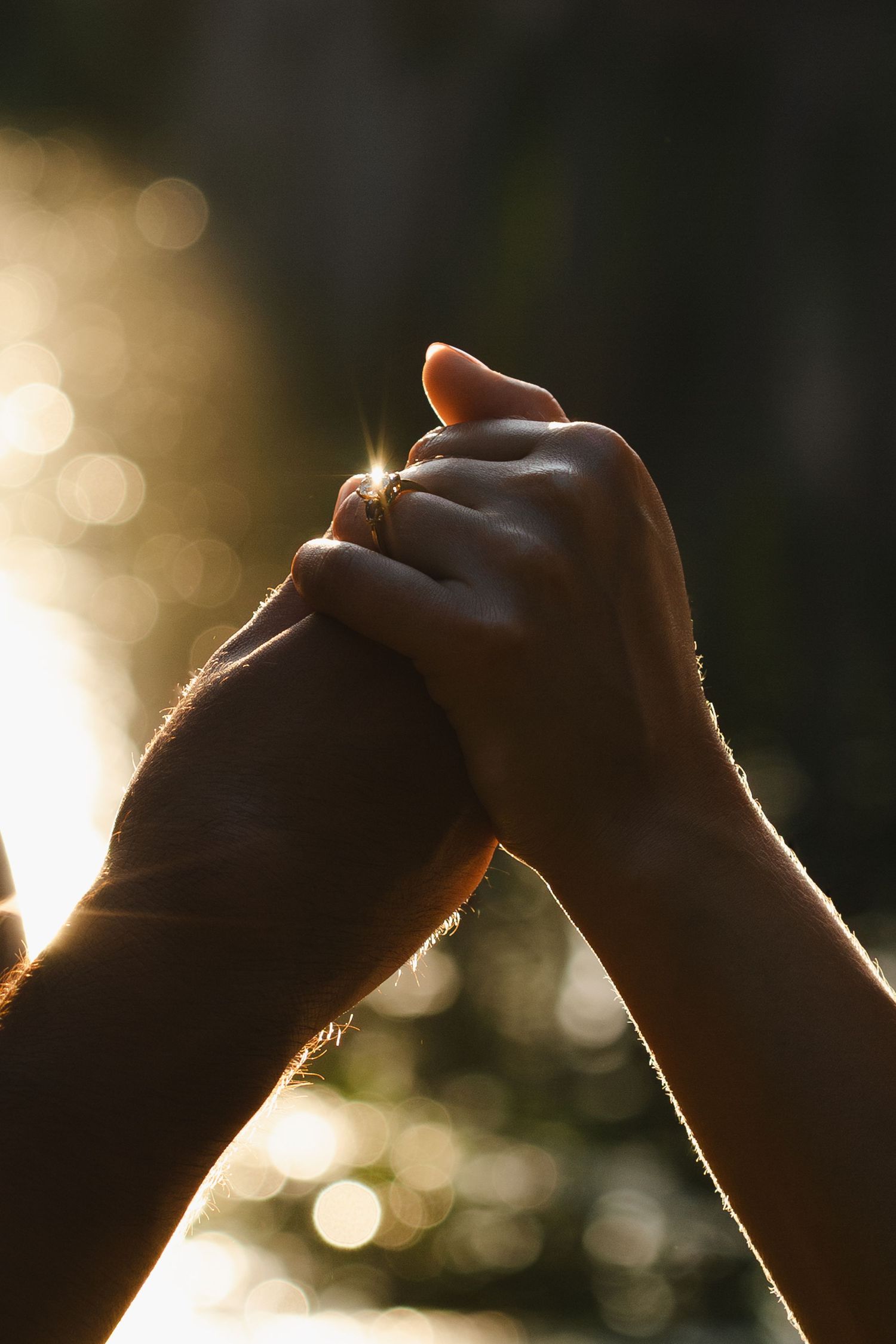 Silhouetted hands reaching towards each other against golden sunlit bokeh background.